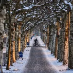 Nieve y hielo paralizan vuelos y bloquean carreteras en Europa